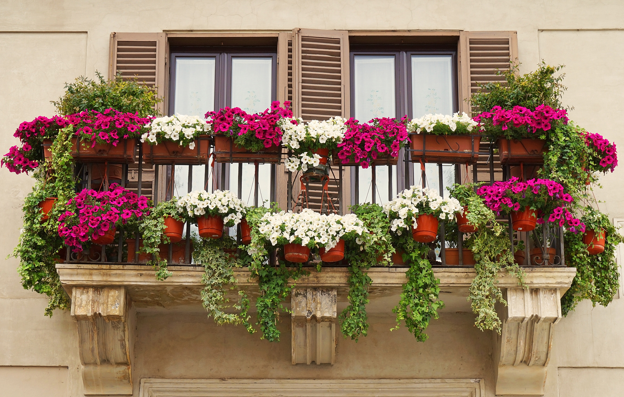 Rože za balkon vsem ljudem povejo, da je pomlad